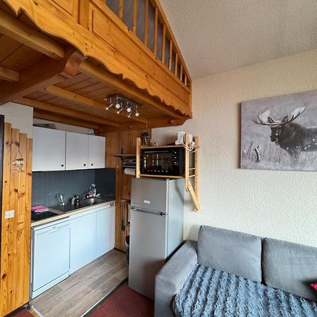 Appartement Cosy 6 personnes très bien équipé ,Vue splendide, Terrasse, Spacieux,Bien situé, Randonnées,Ski Saint-Sorlin-dʼArves Exterior foto